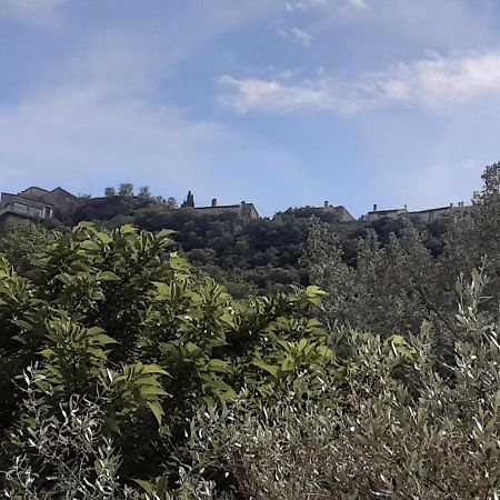 Le Chemin De Bruniele Διαμέρισμα Aubres Εξωτερικό φωτογραφία